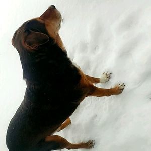 Meet your Posher, Candace